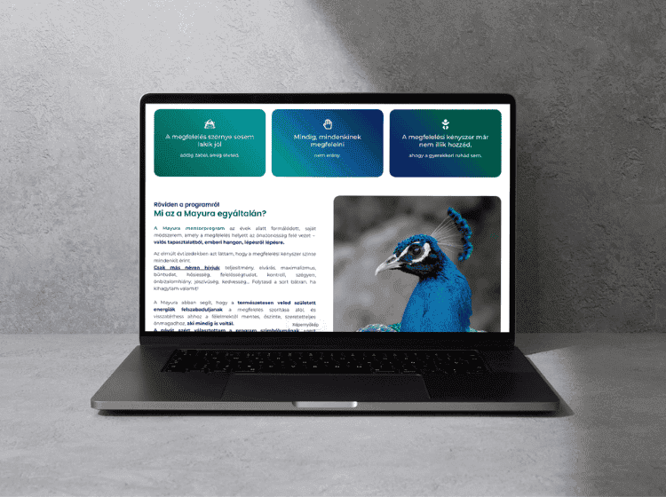 mayura.hu – weboldal referencia munka